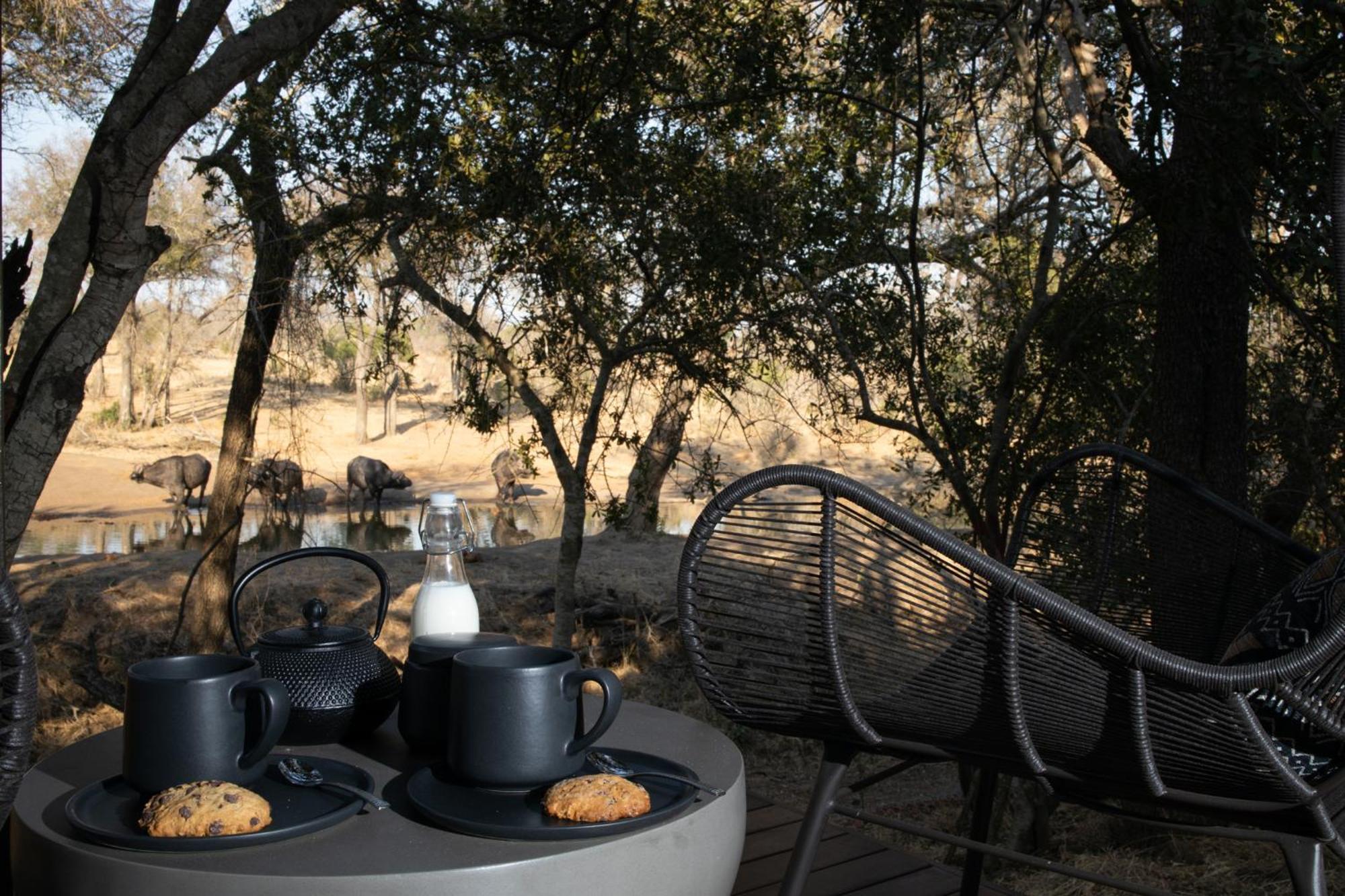 Serondella Game Lodge Thornybush Game Reserve Exterior photo