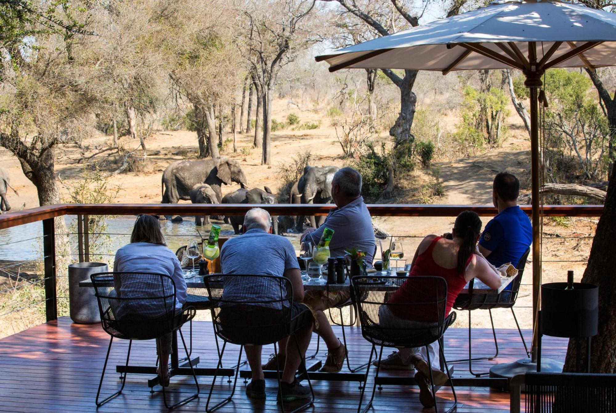 Serondella Game Lodge Thornybush Game Reserve Exterior photo