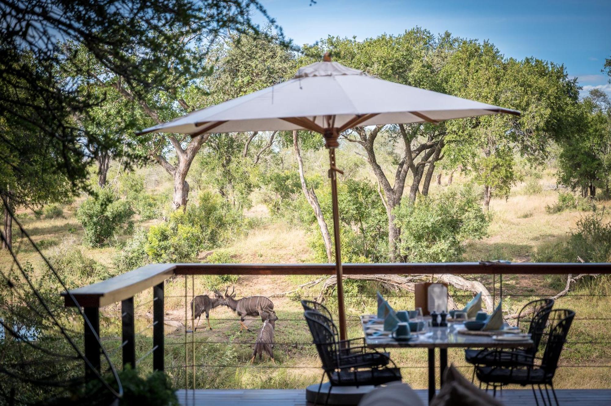 Serondella Game Lodge Thornybush Game Reserve Room photo