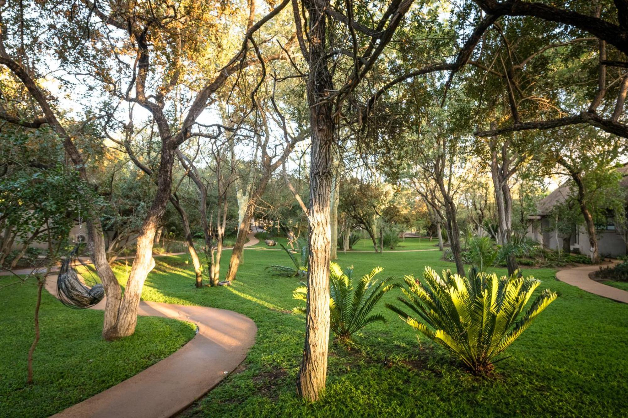 Serondella Game Lodge Thornybush Game Reserve Exterior photo